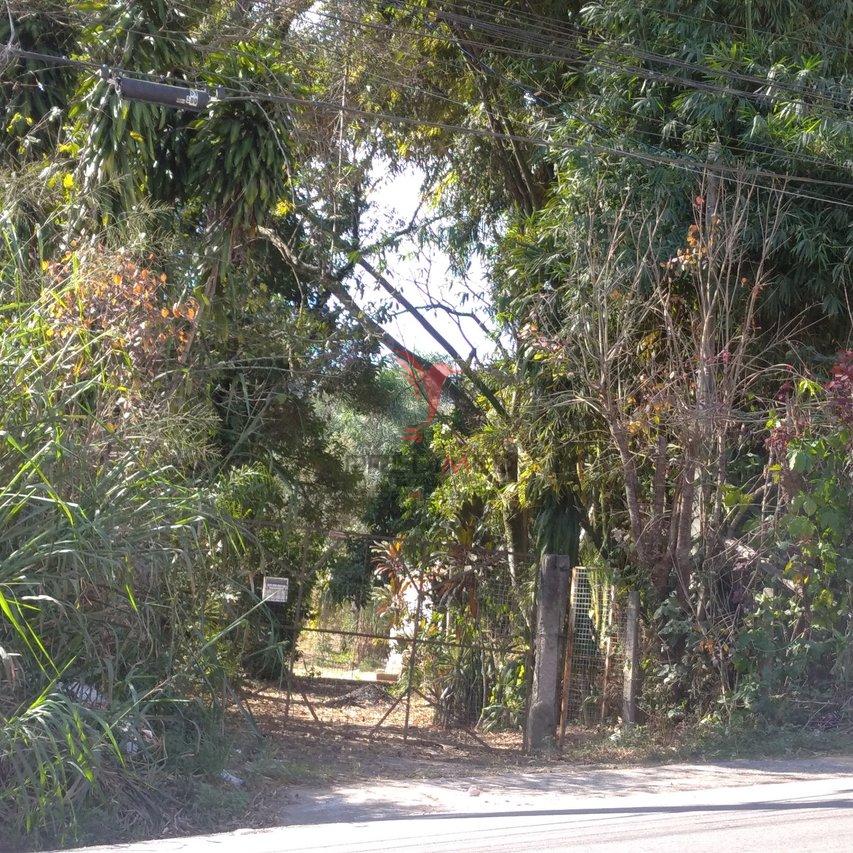Sítio em Mairiporã com 5  casas grandes, 19600 mts² , todo cercado, água e poço - Mairiporã - 