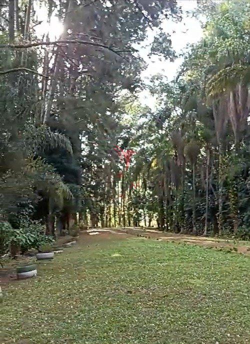 Sítio em Mairiporã com 5  casas grandes, 19600 mts² , todo cercado, água e poço - Mairiporã - 