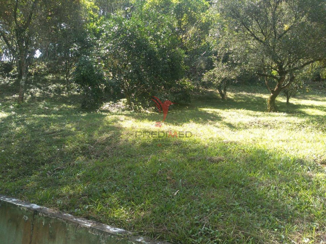 Sítio em Mairiporã com 5  casas grandes, 19600 mts² , todo cercado, água e poço - Mairiporã - 