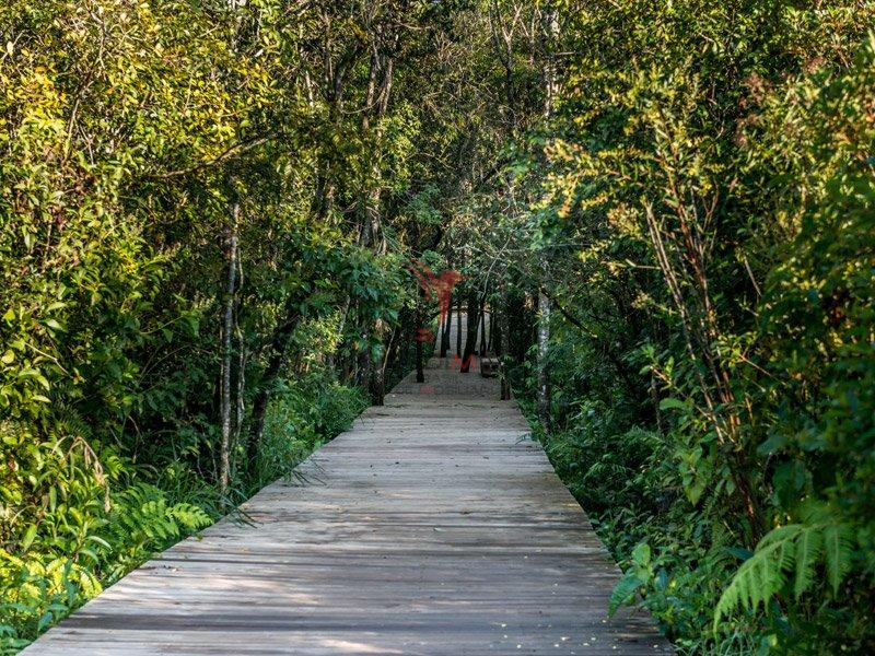 Lotes no Santa Bárbara Resort ,a partir de 450m² no maior loteamento de lazer do Brasil Avenida 100 Águas de Santa Bárbara - trilha_da_cachoeira_1.