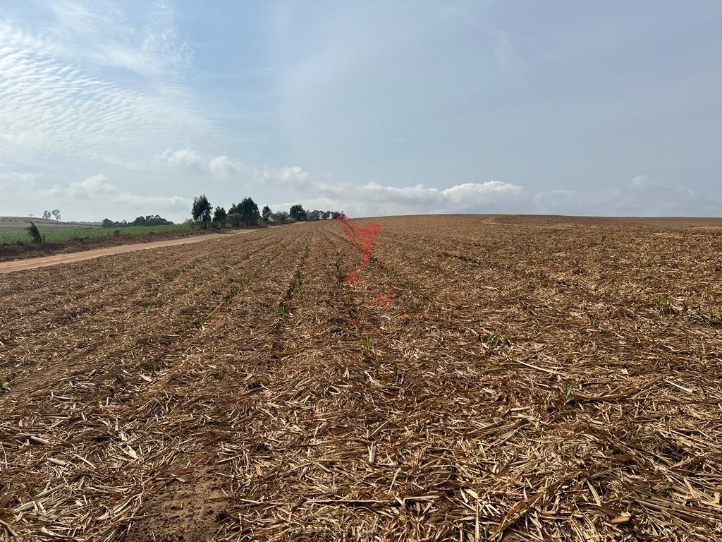Vendo excelente Fazenda com 70 alq no Alto da Serra, Brotas - SP  BROTAS - 