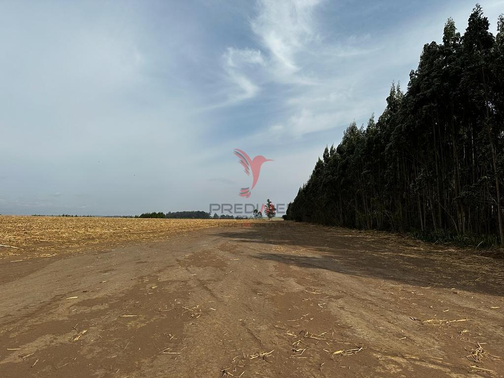 Vendo excelente Fazenda com 70 alq no Alto da Serra, Brotas - SP  BROTAS - 
