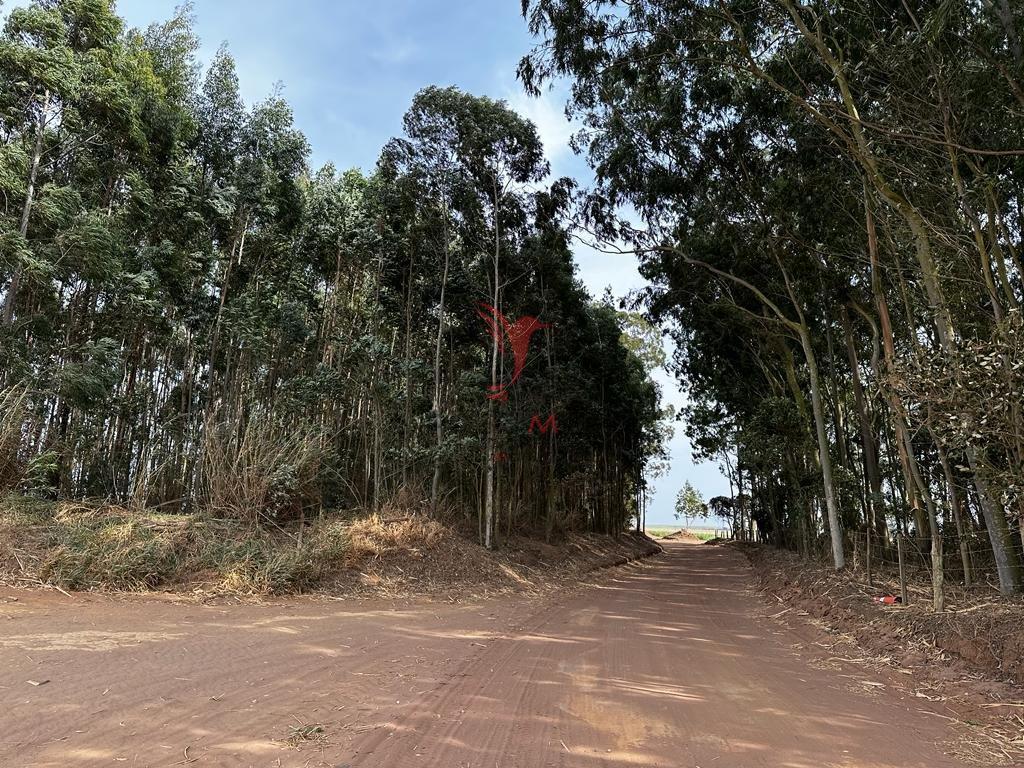 Vendo excelente Fazenda com 70 alq no Alto da Serra, Brotas - SP  BROTAS - 