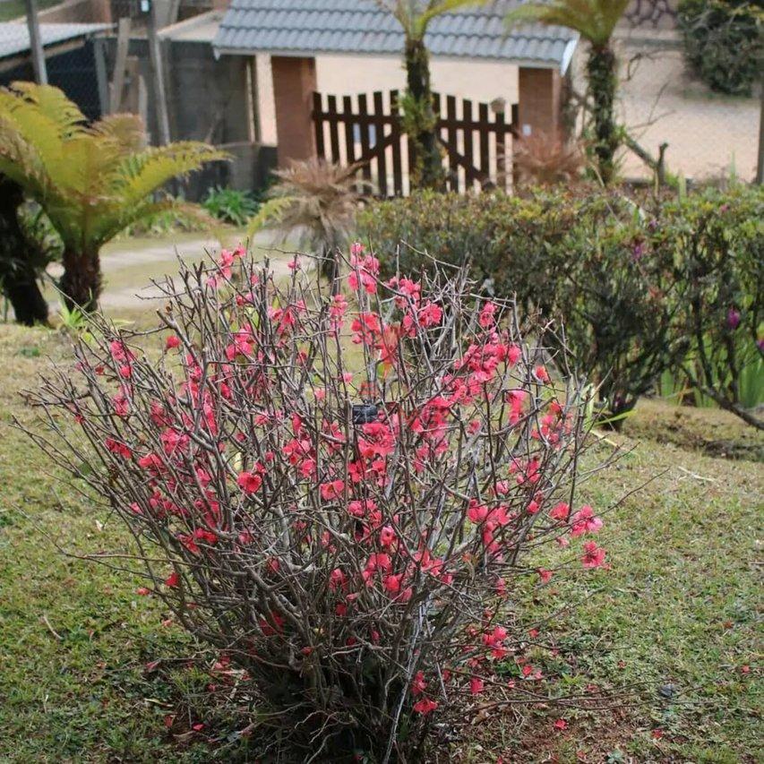 Vendo Casa de temporada completa em Monte Verde - MG  CAMANDUCAIA - 
