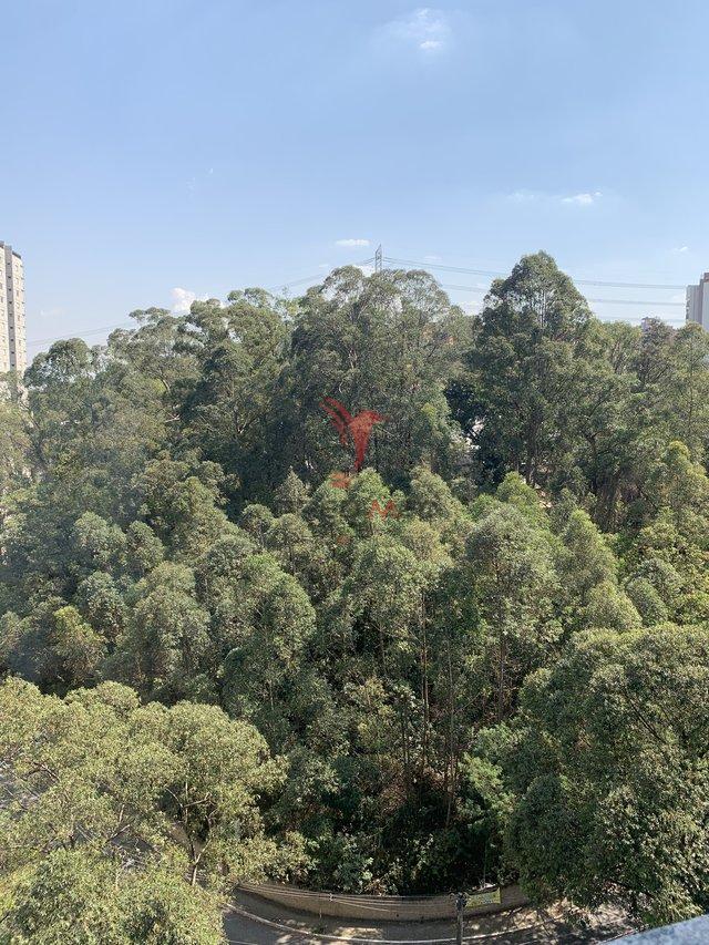 Vendemos oportunidade no Morumbi Rua Ascencional São Paulo - 