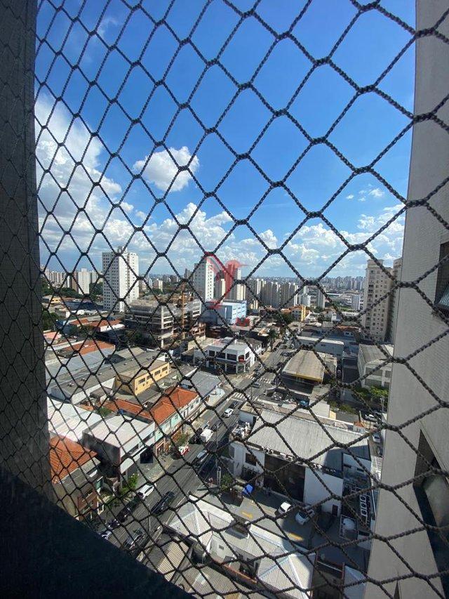  Rua Padre Raposo São Paulo - 