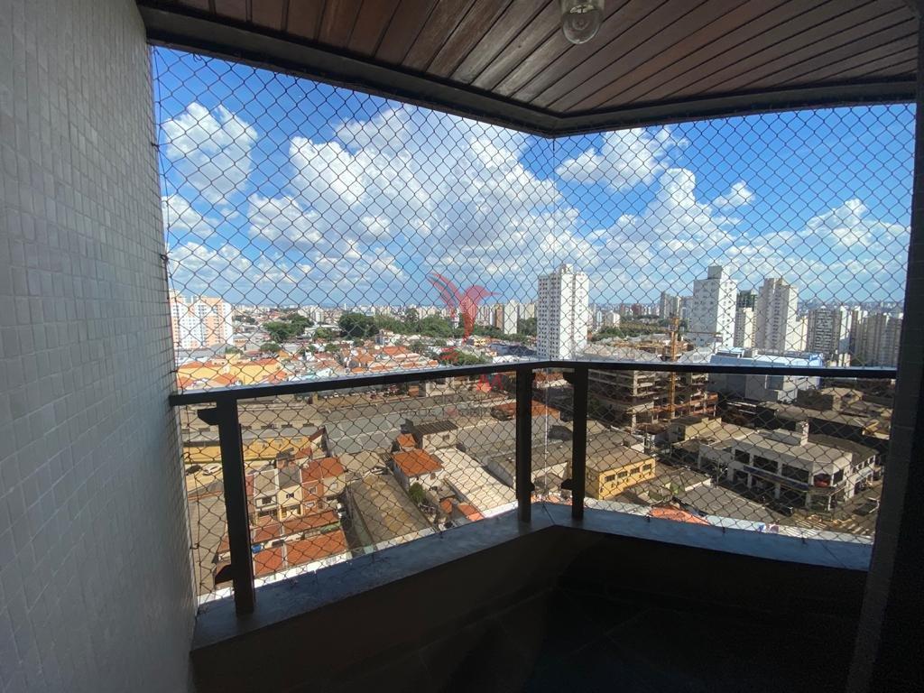  Rua Padre Raposo São Paulo - 