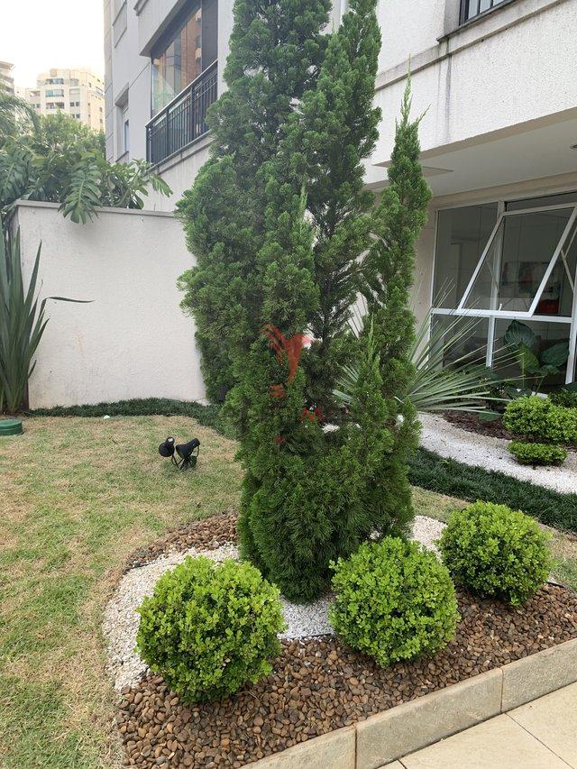 Oportunidade de venda no Morumbi  São Paulo - 