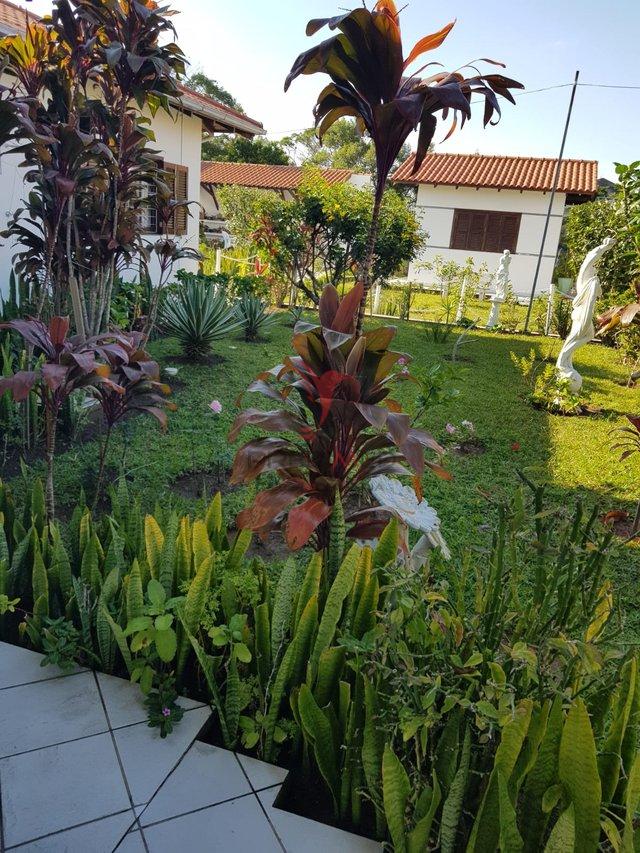 Lindo, muito lindo, situado a duas quadras da praia, 5 imóveis, com academia, piscina rua Manuel Domingos  Laguna - 