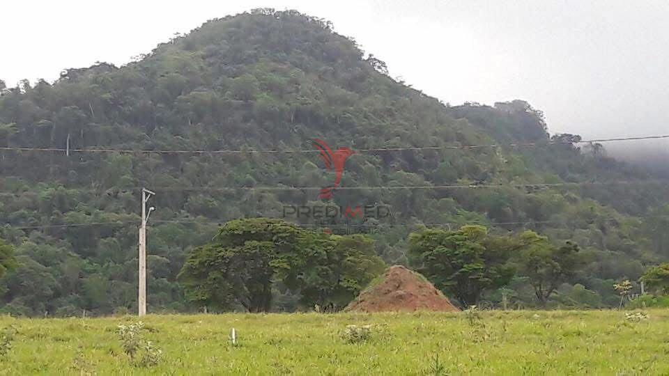 Vendo Terreno com vista para a Serra de São Pedro  São Pedro - 