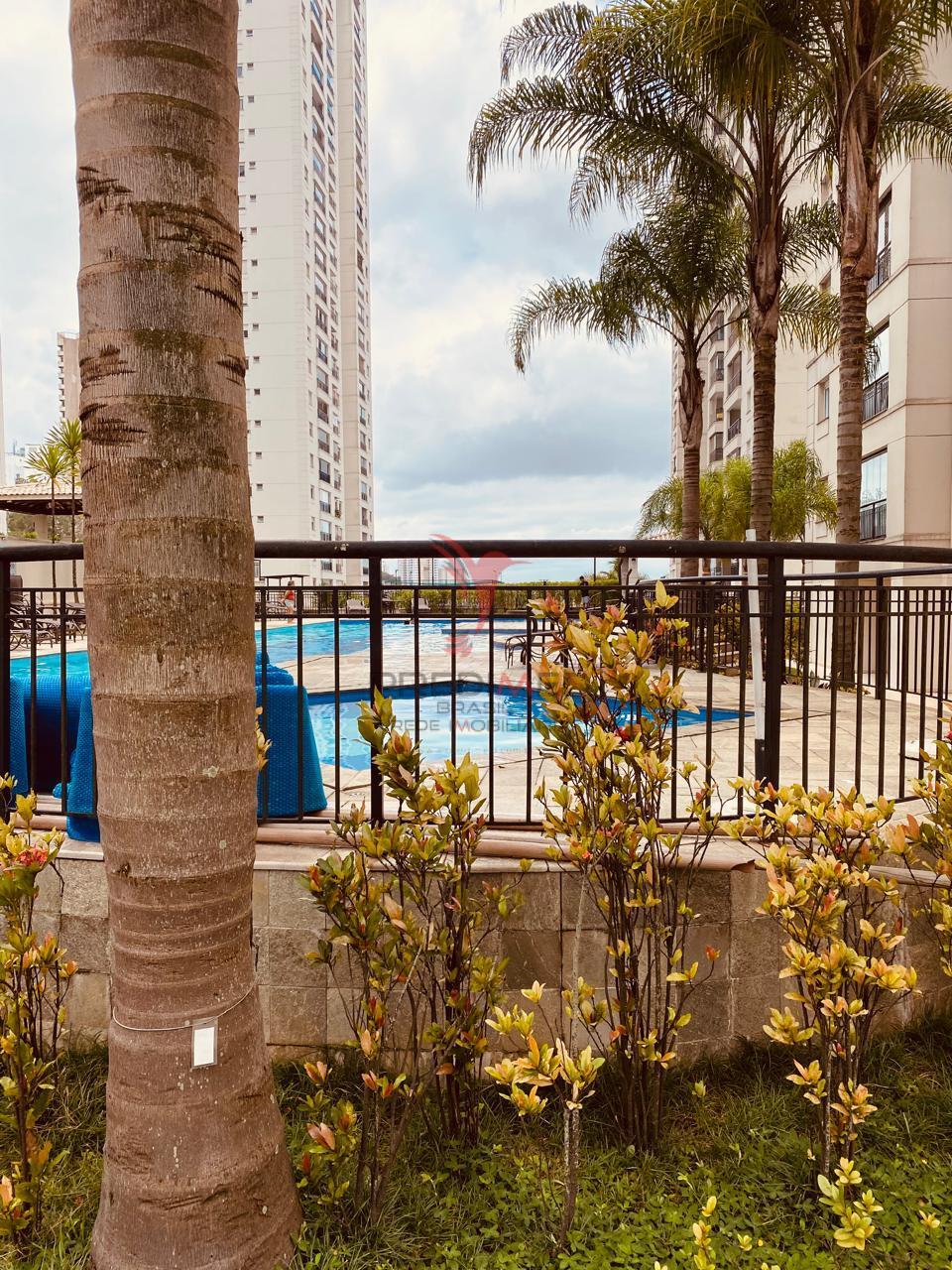 Vendo apartamento com 72 mts2. 2 Quartos , 1 Suite,no Morumbi, oportunidade  São Paulo - 