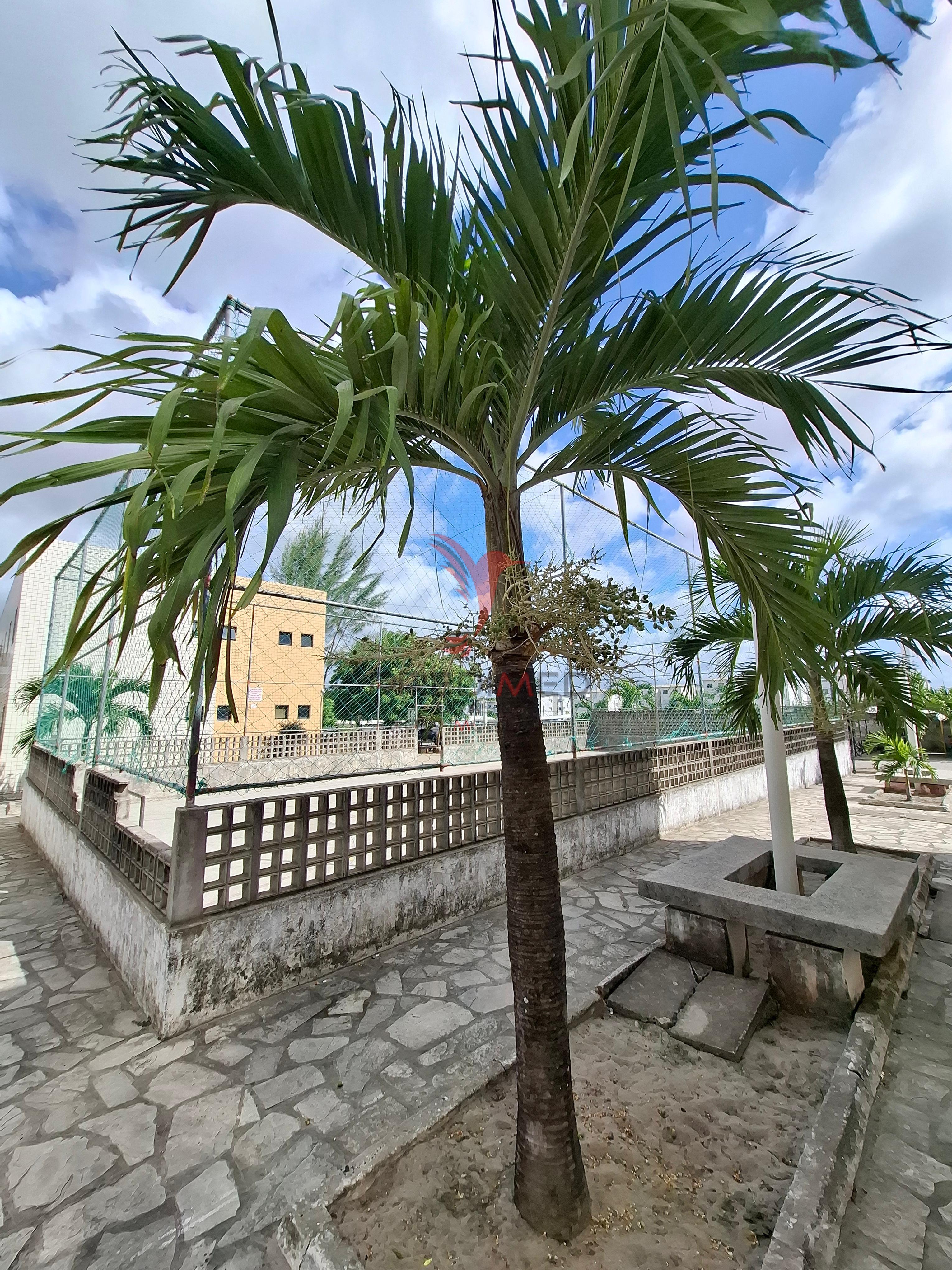 Apartamento, 2 quartos - Foto 11