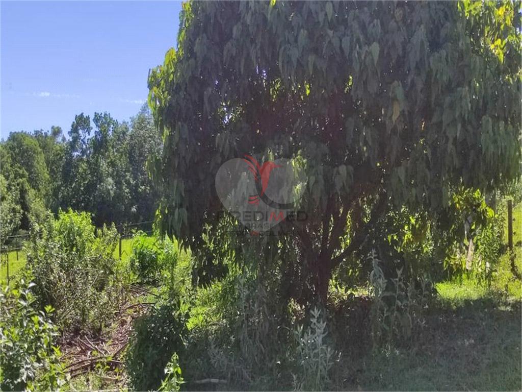 Fazenda/S&iacute;tios/Ch&aacute;caras de 2 quartos, 24200m&sup2; no bairro &Aacute;rea Rural De Bauru, em Bauru  Bauru - 