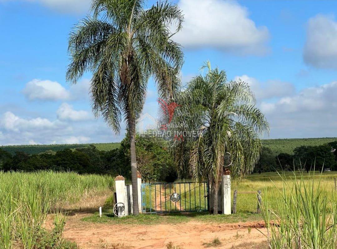 Fazenda/S&iacute;tios/Ch&aacute;caras de 4 quartos, 552m&sup2; no bairro Zona Rural, em Len&ccedil;&oacute;is Paulista  Lençóis Paulista - 