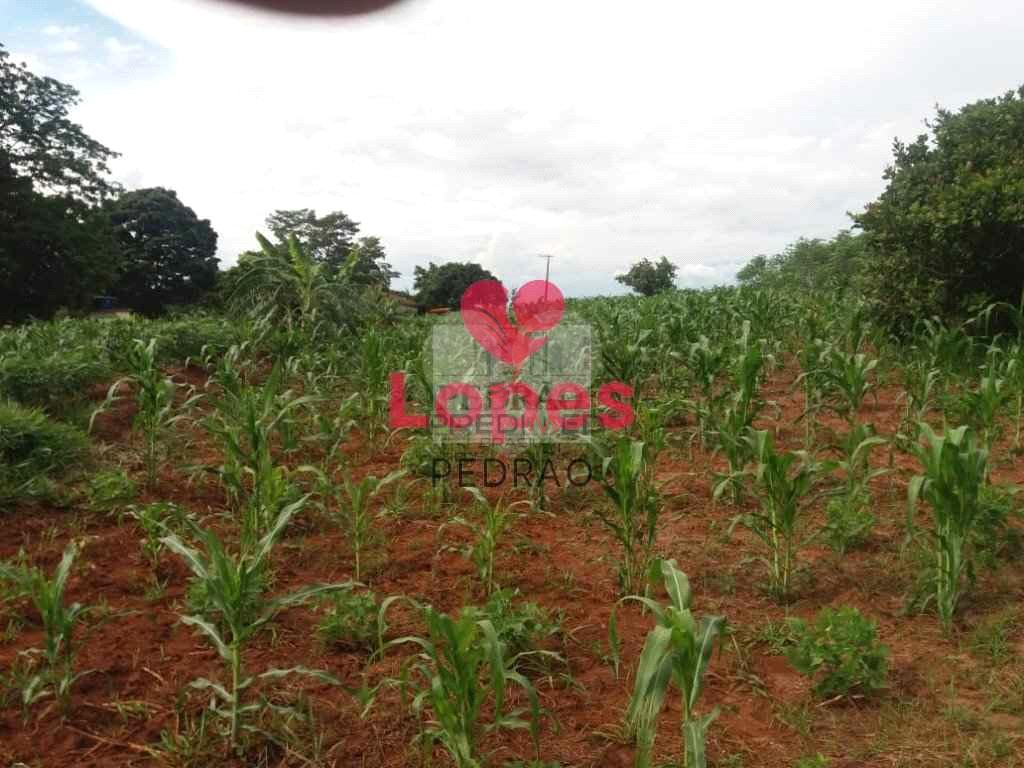 Fazenda/S&iacute;tios/Ch&aacute;caras de 3 quartos, 26765m&sup2; no bairro Centro, em Arei&oacute;polis  Areiópolis - 