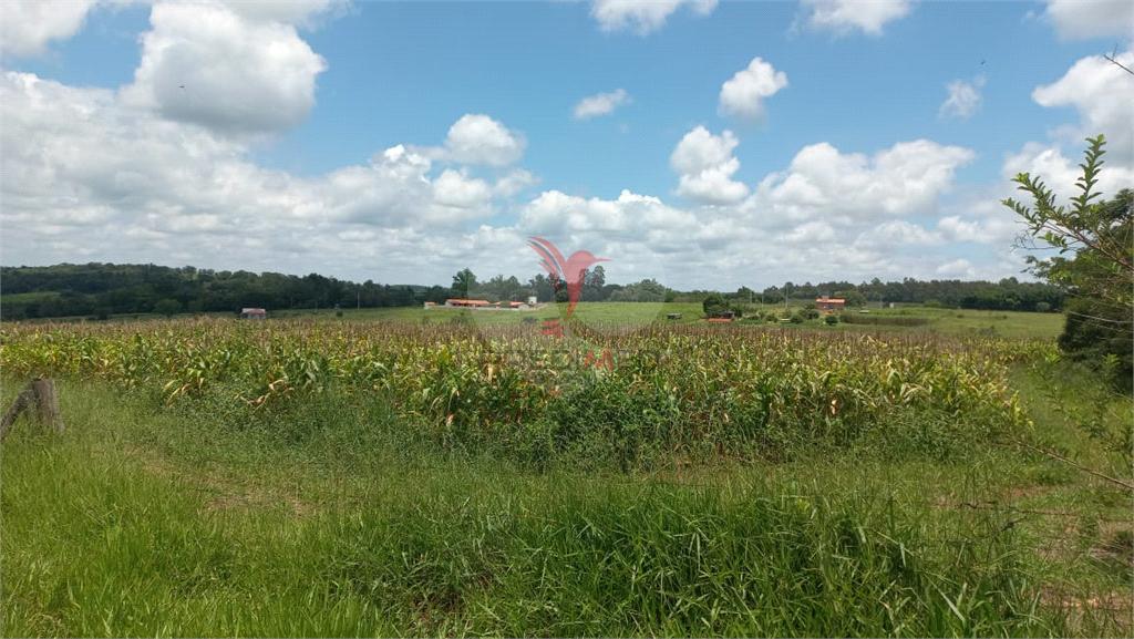 Fazenda/S&iacute;tios/Ch&aacute;caras de 26000m&sup2; no bairro &Aacute;rea Rural De Piratininga, em Piratininga  PIRATININGA - 