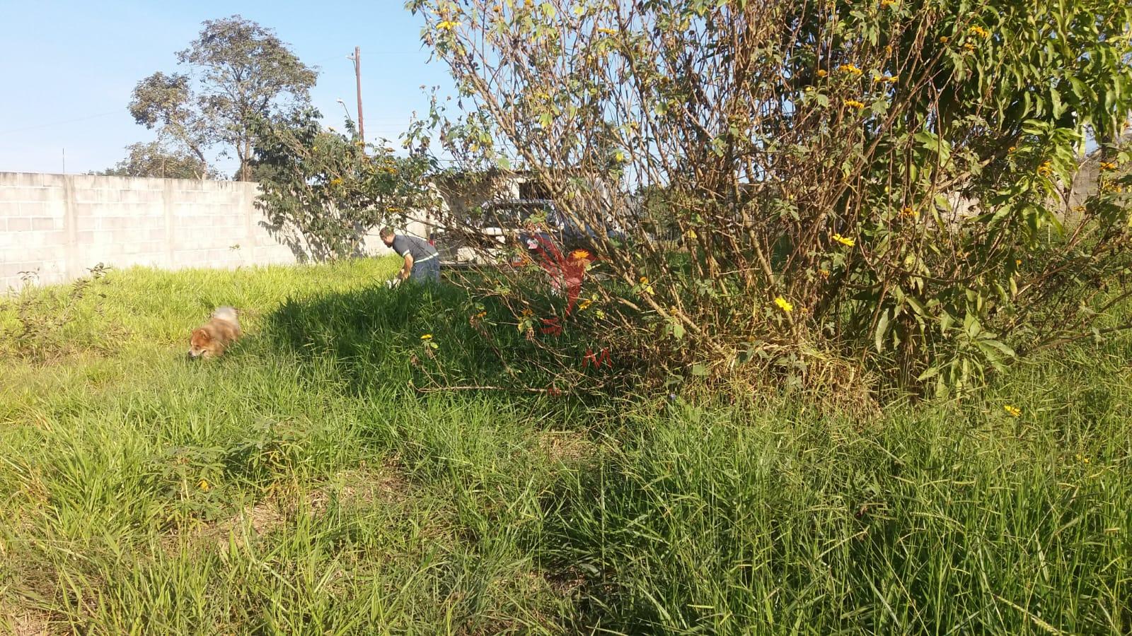 Terreno com melhorias, murado, port&atilde;o, &aacute;gua,energia,plano.Parque das Gar&ccedil;as, Guaratinguet&aacute;  Guaratinguetá - 