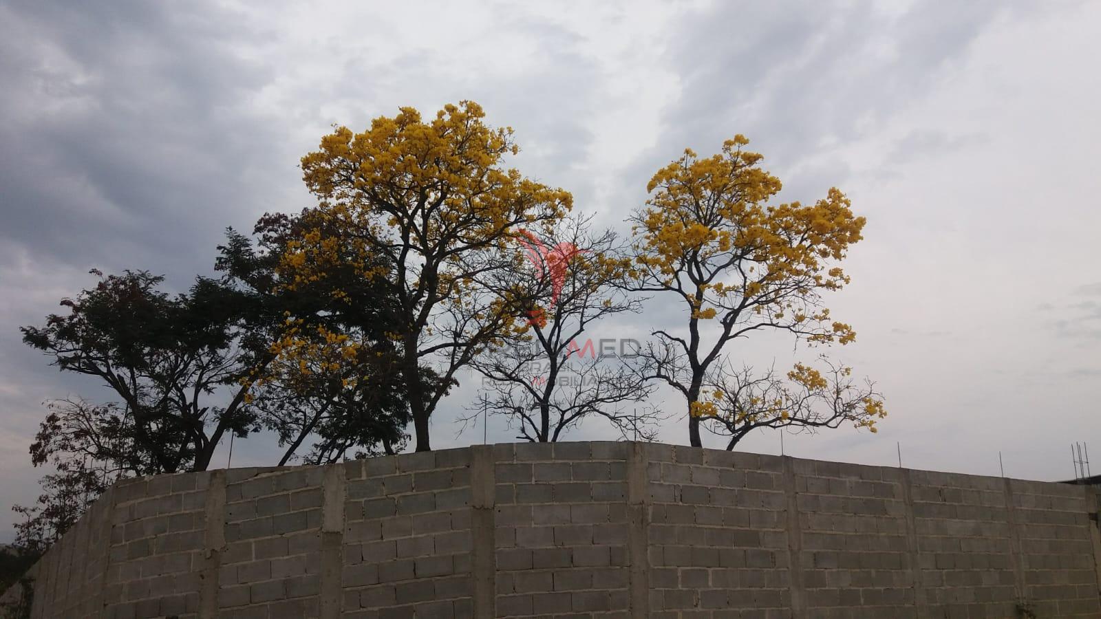 Terreno com melhorias, murado, port&atilde;o, &aacute;gua,energia,plano.Parque das Gar&ccedil;as, Guaratinguet&aacute;  Guaratinguetá - 