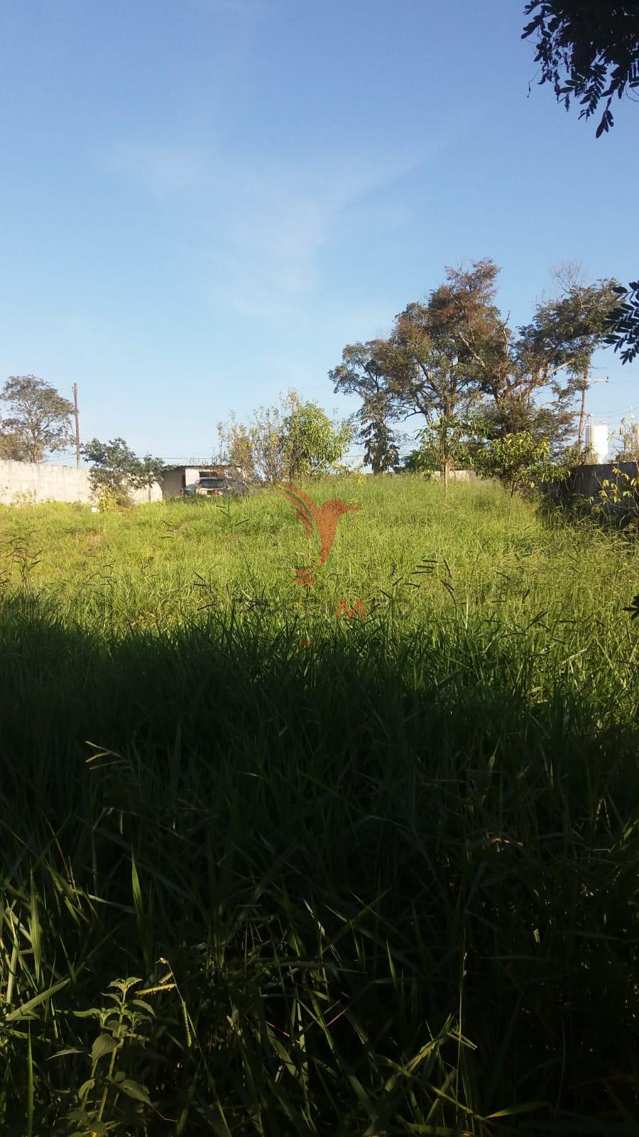 Terreno, 1050 m² - Foto 7