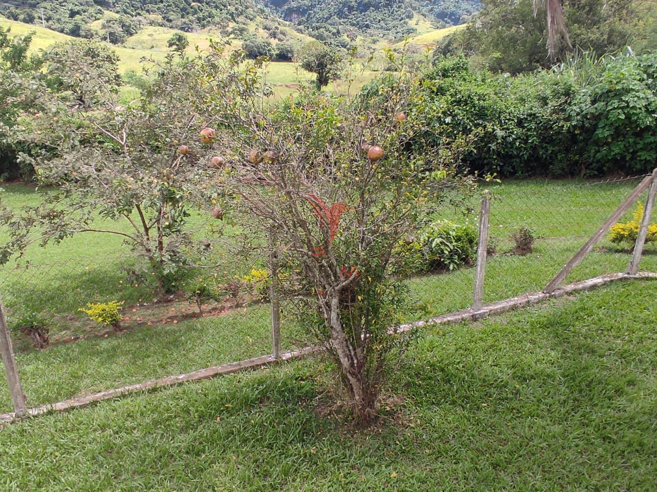 Sítio, 3 quartos, 5250 m² - Foto 10