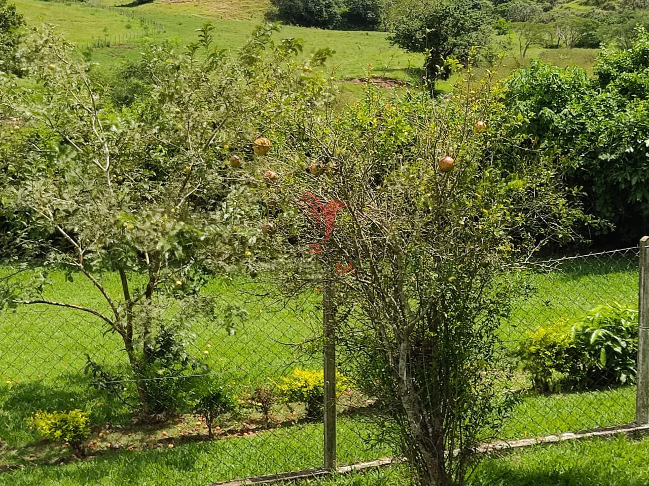 Vendo Ch&aacute;cara com vista &uacute;nica em S&atilde;o Pedro  São Pedro - 