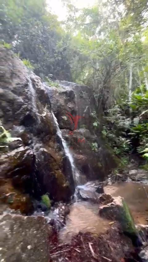 &Aacute;rea em Imarui - SC  Imaruí - 