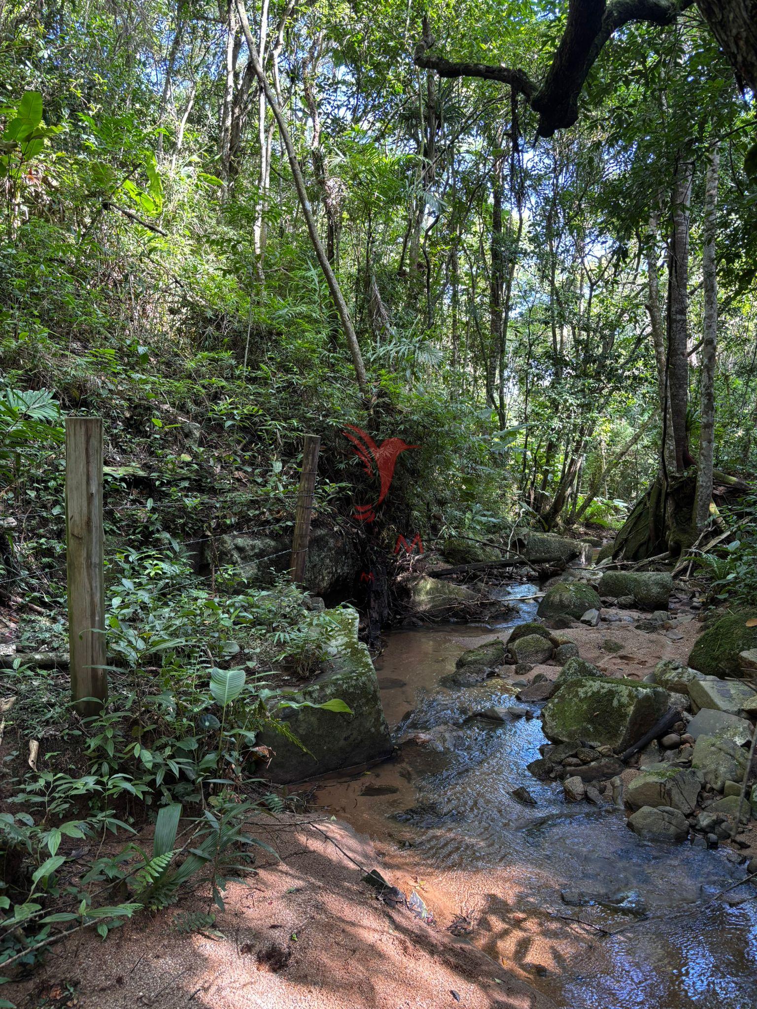 &Aacute;rea em Imarui - SC  Imaruí - 