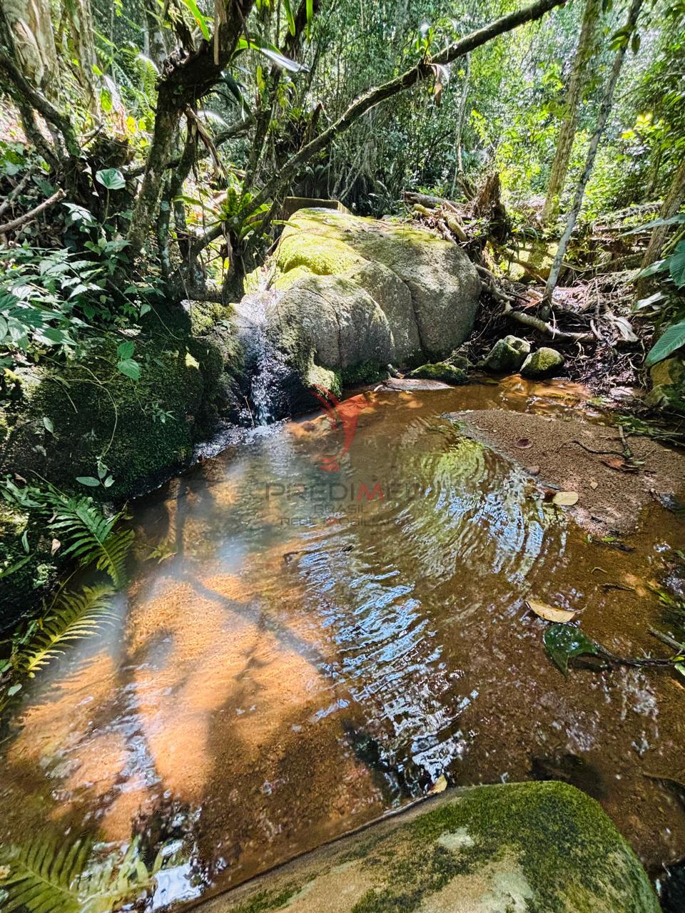 &Aacute;rea em Imarui - SC  Imaruí - 