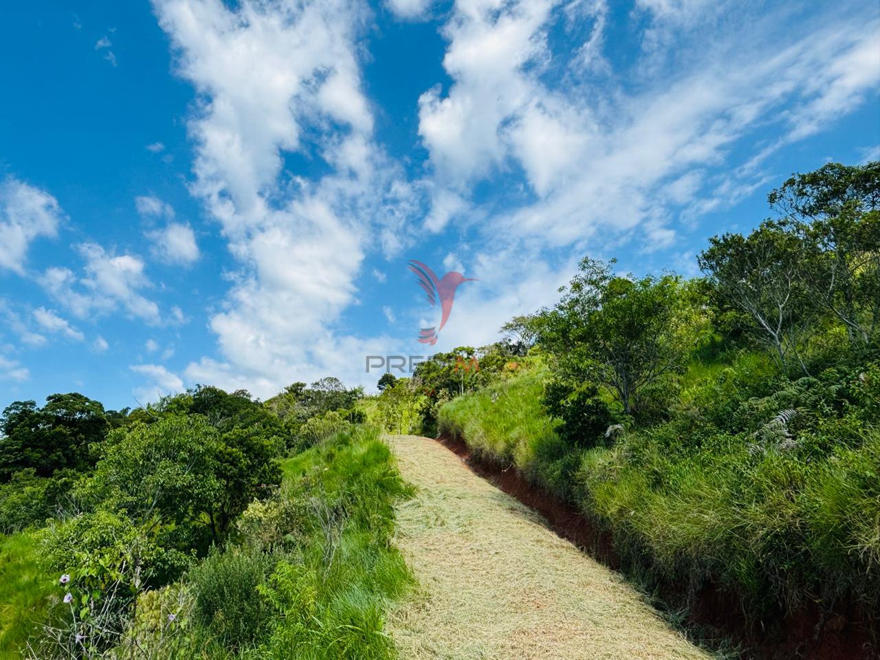 &Aacute;rea em Imarui - SC  Imaruí - 