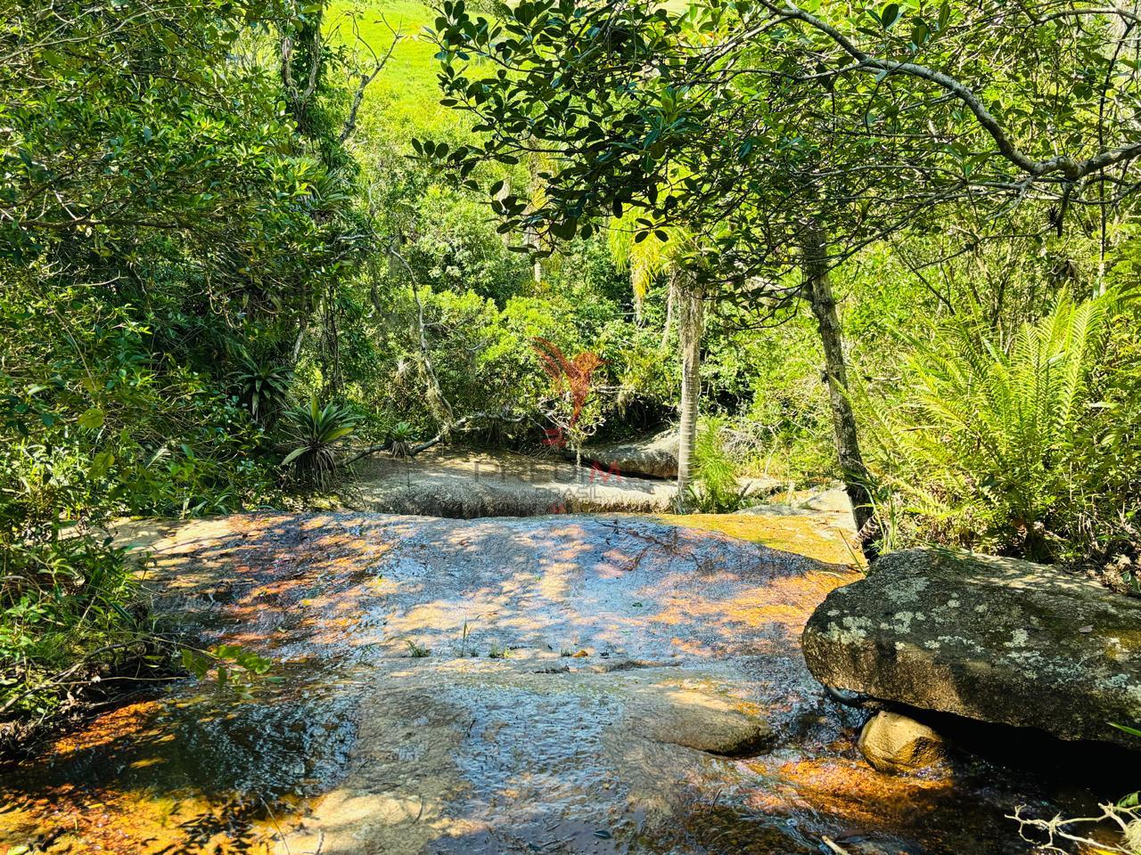 Terreno, 5 hectares - Foto 1