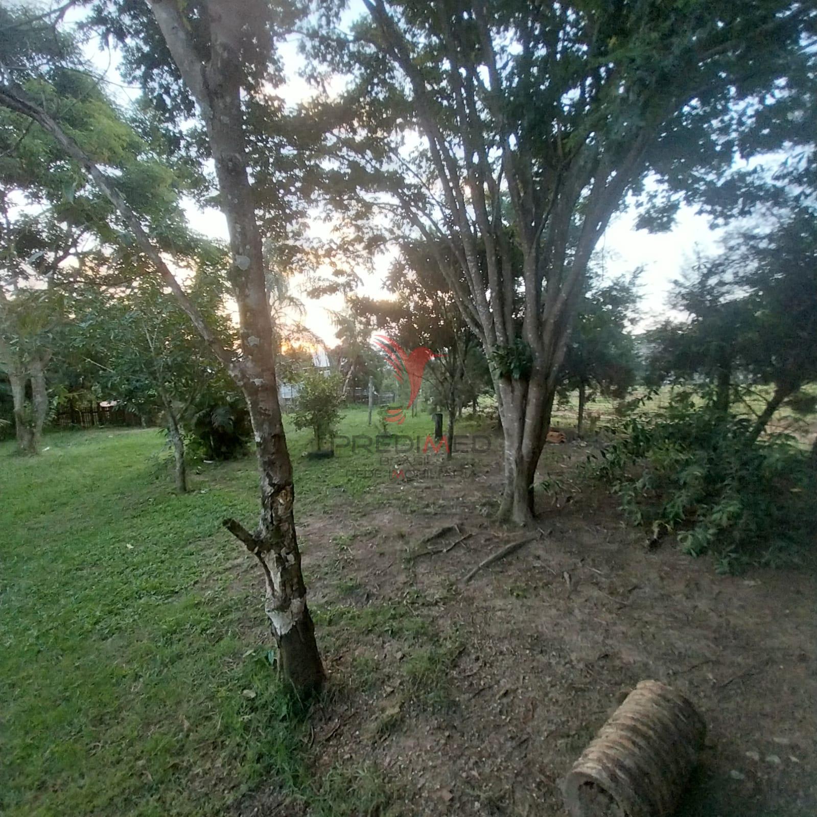 Chácara, 1 quarto, 2100 m² - Foto 3