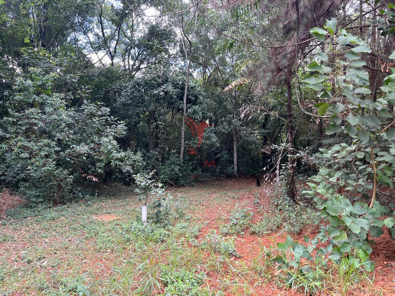 &Aacute;rea Industrial a venda em Itu/SP com cinco Galp&otilde;es Industriais Rodovia Waldomiro Corrêa de Camargo Itu - 