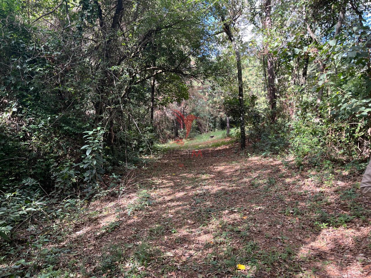 &Aacute;rea Industrial a venda em Itu/SP com cinco Galp&otilde;es Industriais Rodovia Waldomiro Corrêa de Camargo Itu - 