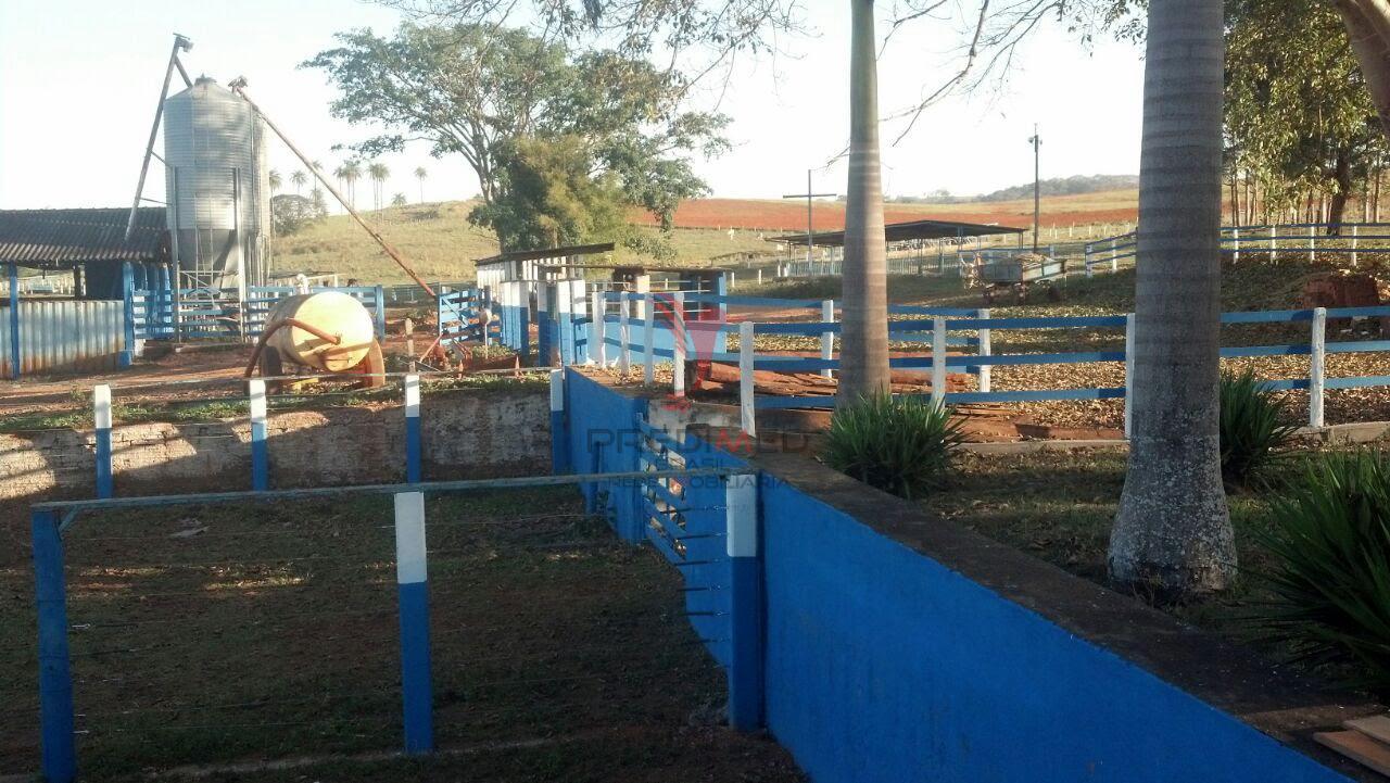Fazenda diferenciada com 72 Alqueires &ndash; 100% Mecanizada &ndash; Pr&oacute;ximo &agrave; Heineken &ndash; Passos/MG  Passos - 