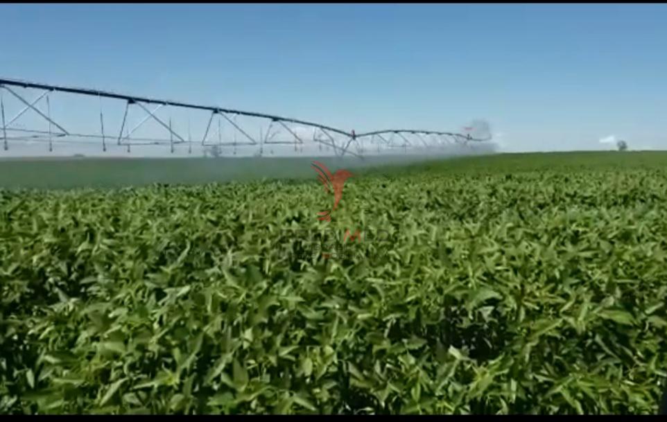 Fazenda diferenciada com 72 Alqueires &ndash; 100% Mecanizada &ndash; Pr&oacute;ximo &agrave; Heineken &ndash; Passos/MG  Passos - 