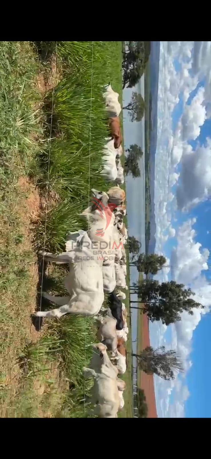 Fazenda diferenciada com 72 Alqueires &ndash; 100% Mecanizada &ndash; Pr&oacute;ximo &agrave; Heineken &ndash; Passos/MG  Passos - 