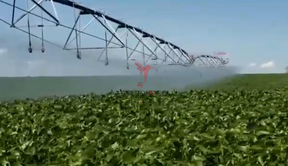 Fazenda diferenciada com 72 Alqueires &ndash; 100% Mecanizada &ndash; Pr&oacute;ximo &agrave; Heineken &ndash; Passos/MG  Passos - 