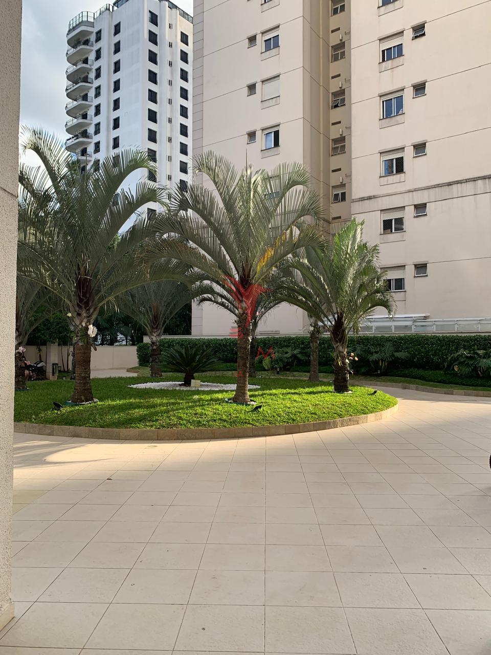 Alugo, no Morumbi, apartamento semi mobiliado no Morumbi. S&atilde;o Paulo Rua José Carlos de Toledo Piza São Paulo - 