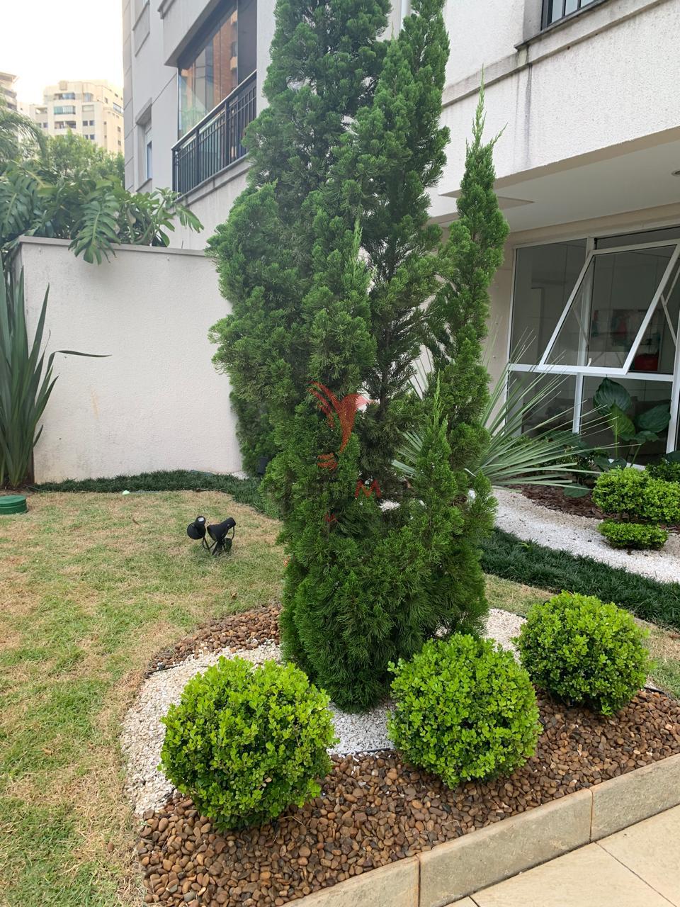 Alugo, no Morumbi, apartamento semi mobiliado no Morumbi. S&atilde;o Paulo Rua José Carlos de Toledo Piza São Paulo - 