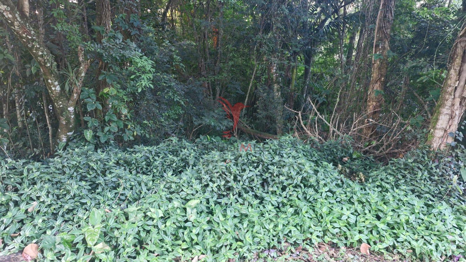Terreno plano a venda com 510 metros em Barueri/SP,  dentro de con dominio fechado Estrada das Pitas Barueri - 