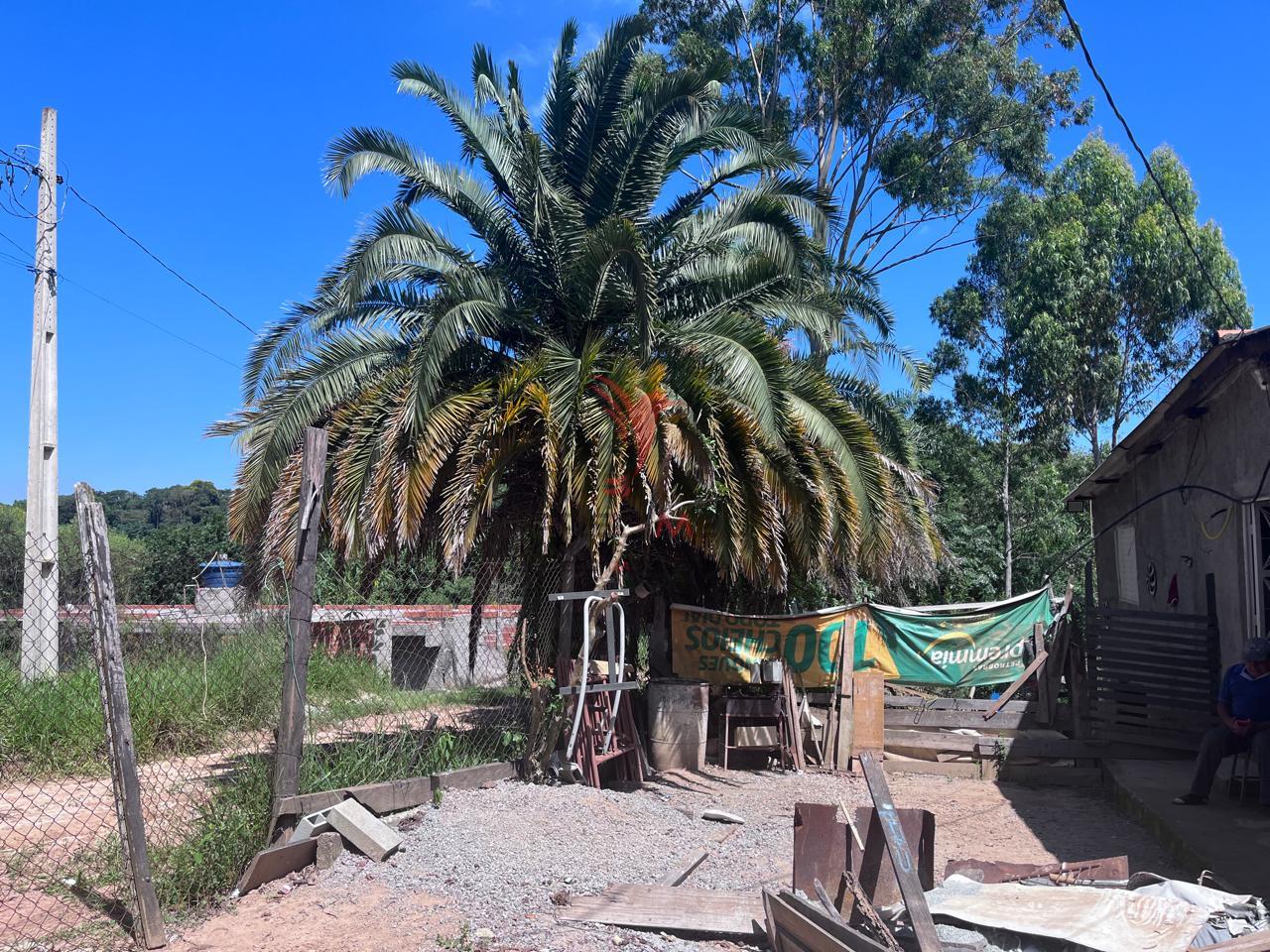 S&iacute;tio com 8.000 metros a venda em Ara&ccedil;ariguama, no bairro Ella Rua Falcão ARACARIGUAMA - 