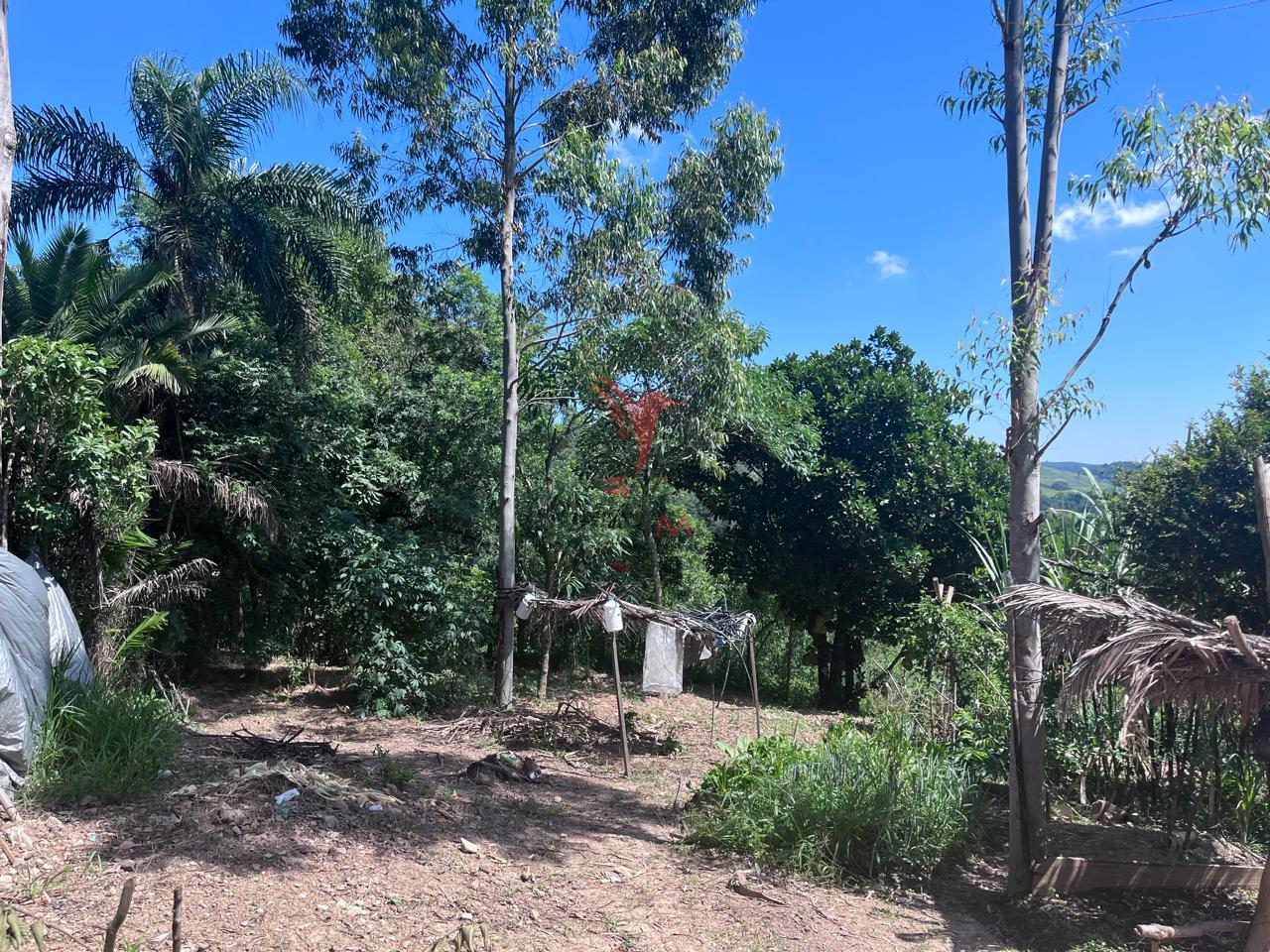 S&iacute;tio com 8.000 metros a venda em Ara&ccedil;ariguama, no bairro Ella Rua Falcão ARACARIGUAMA - 