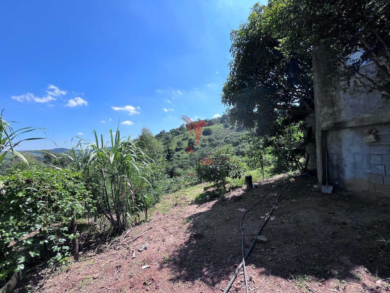 S&iacute;tio com 8.000 metros a venda em Ara&ccedil;ariguama, no bairro Ella Rua Falcão ARACARIGUAMA - 