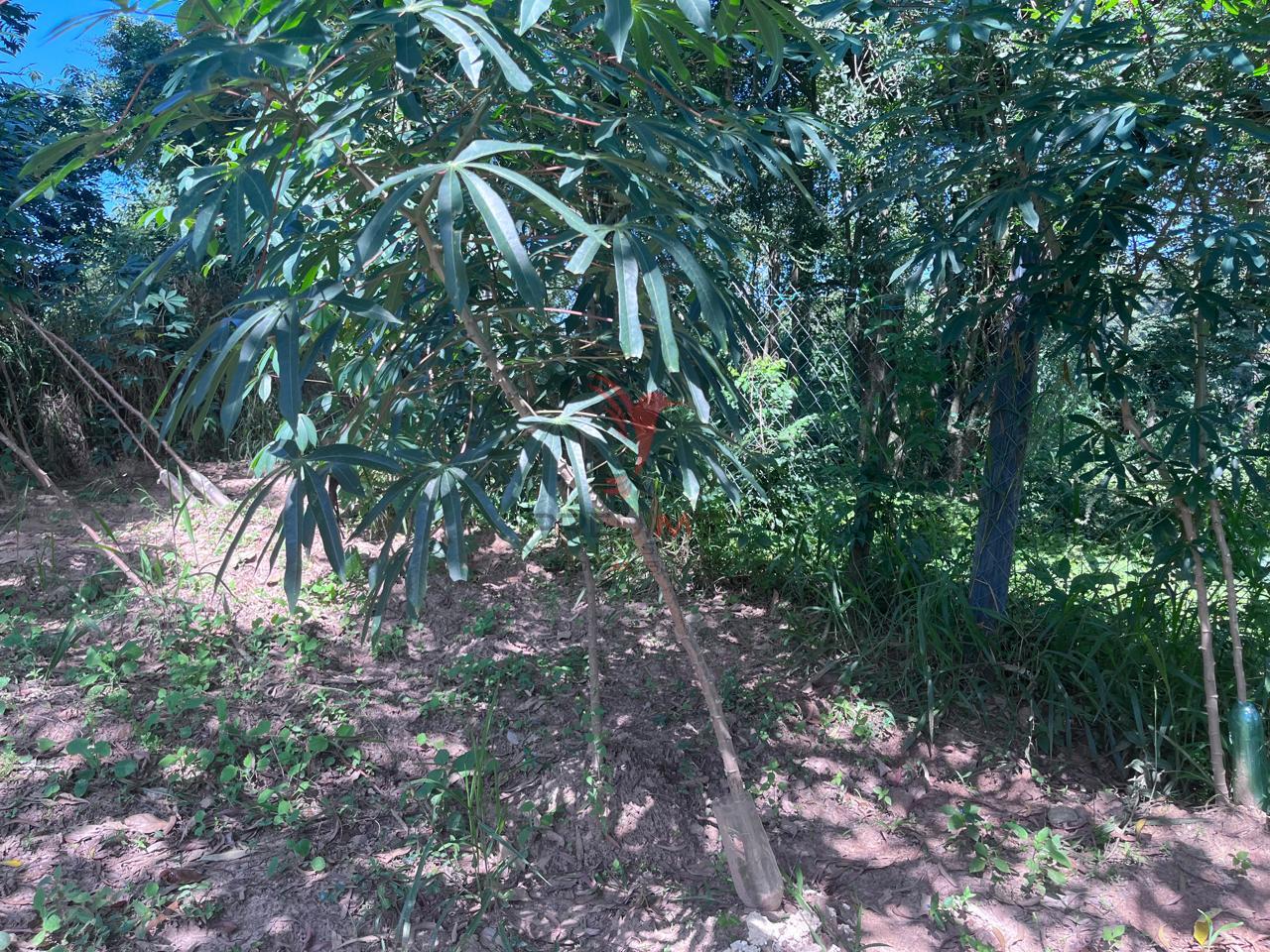 S&iacute;tio com 8.000 metros a venda em Ara&ccedil;ariguama, no bairro Ella Rua Falcão ARACARIGUAMA - 