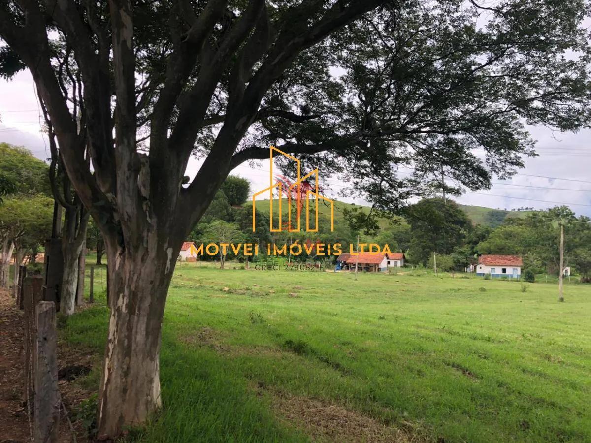 Fazenda Boiadeira &agrave; Venda &ndash; Vale do Para&iacute;ba/SP  Jacareí - 