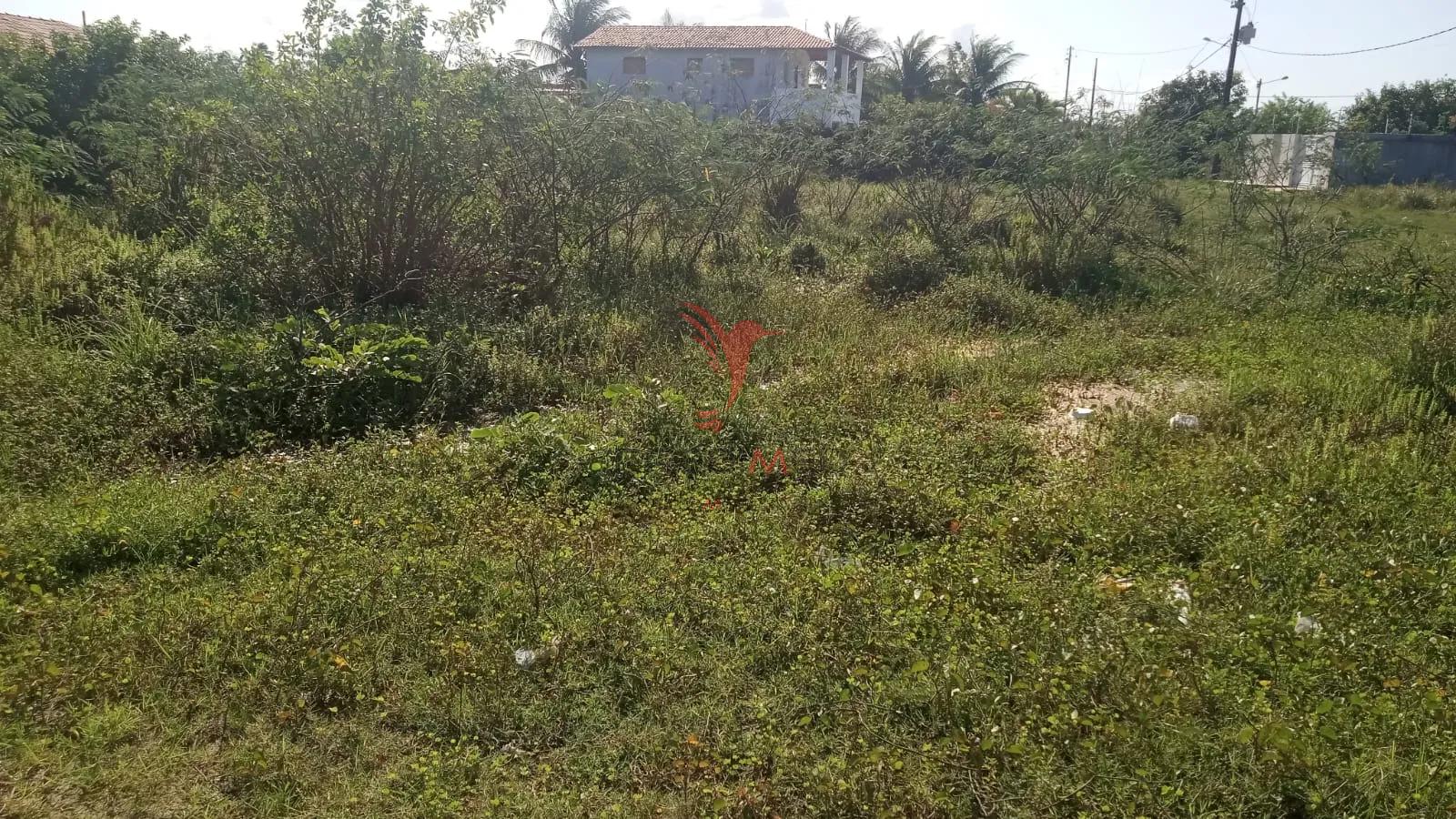 Terreno em Lucena pr&oacute;ximo a praia  Lucena - 