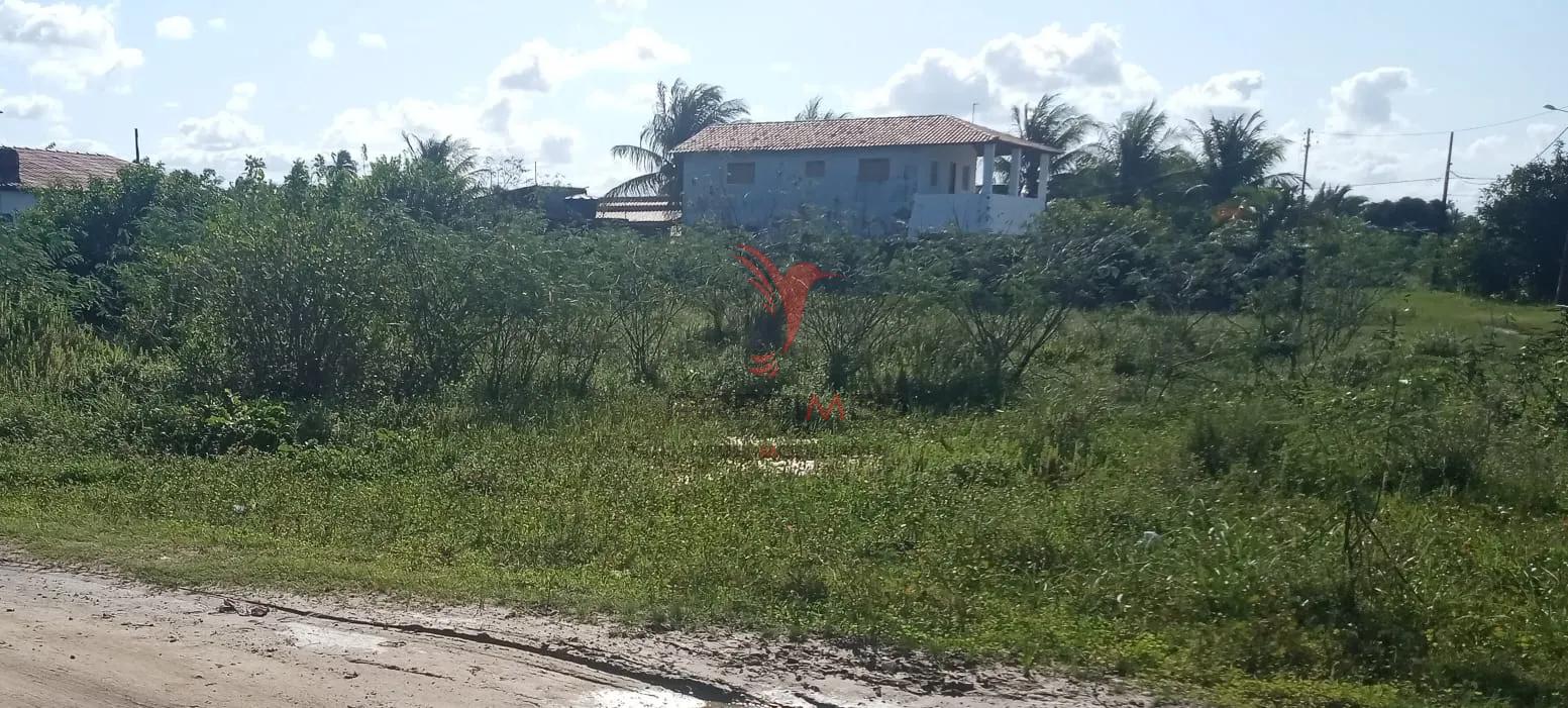 Terreno - Foto 2