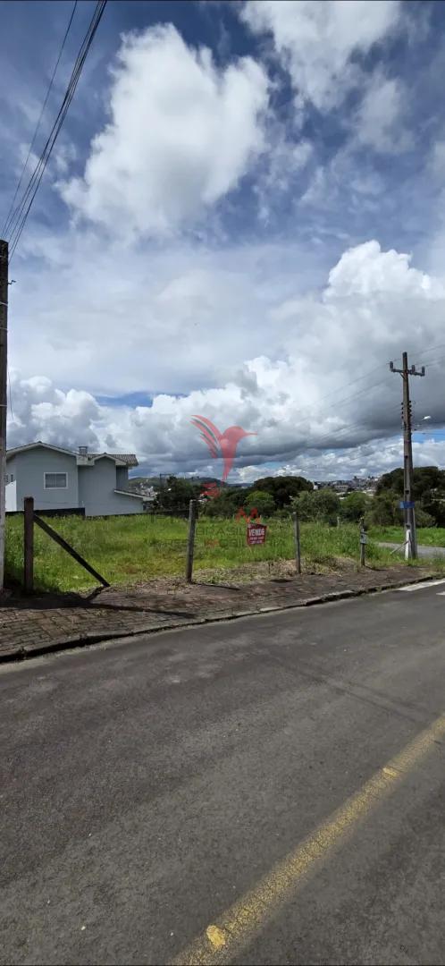 Terreno de esquina, 365 m&sup2; Rua Romeu Ramos Lucena Lages - 
