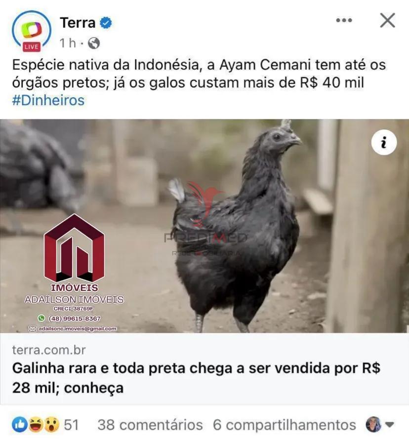 🌱🏡 Linda Ch&aacute;cara em Major Gercino SC BRASIL 🏡🌱  Major Gercino - 