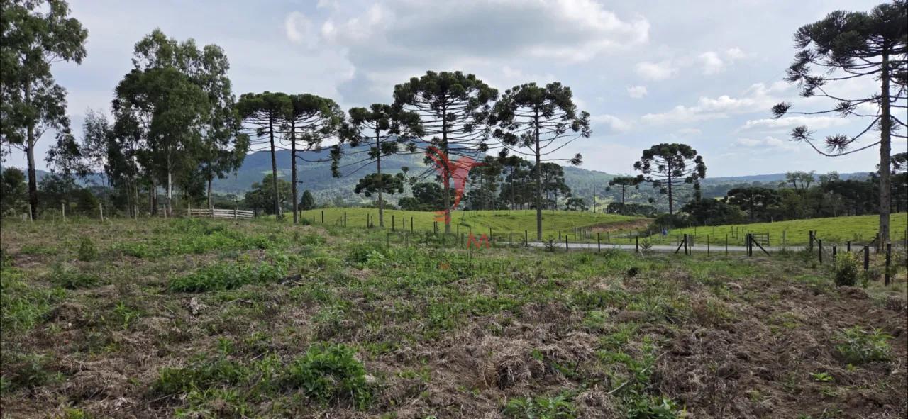 Ch&aacute;cara as margens da BR 282 Br 282 Lages - 